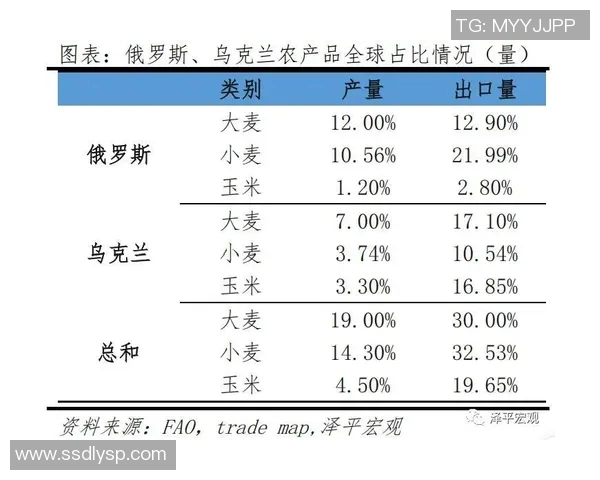 挪威足球排名分析及其对国际赛事的影响与展望
